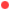 Bullet.jpg (5232 bytes)